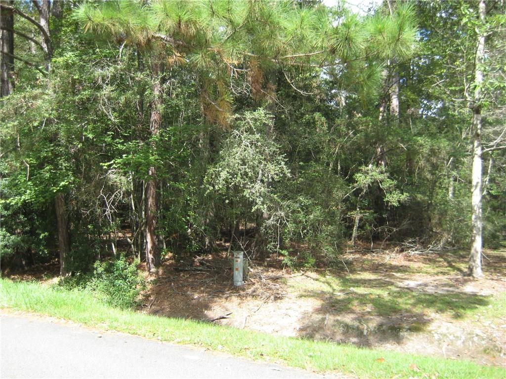 0 Reeves Drive Covington, LA 70435 - Photo 1 of 4 Gallery Image 1
