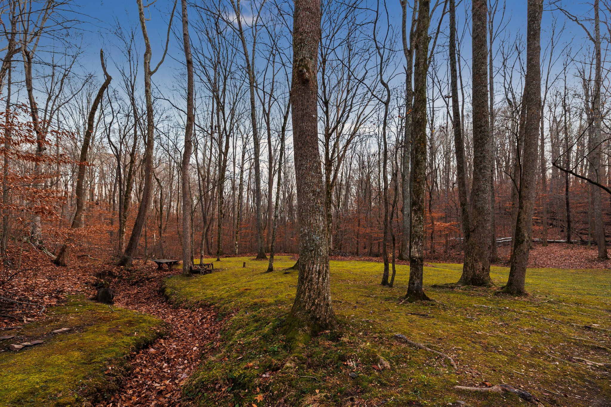 3945 New Highway 96 West Franklin, TN 37064 - Photo 67 of 69