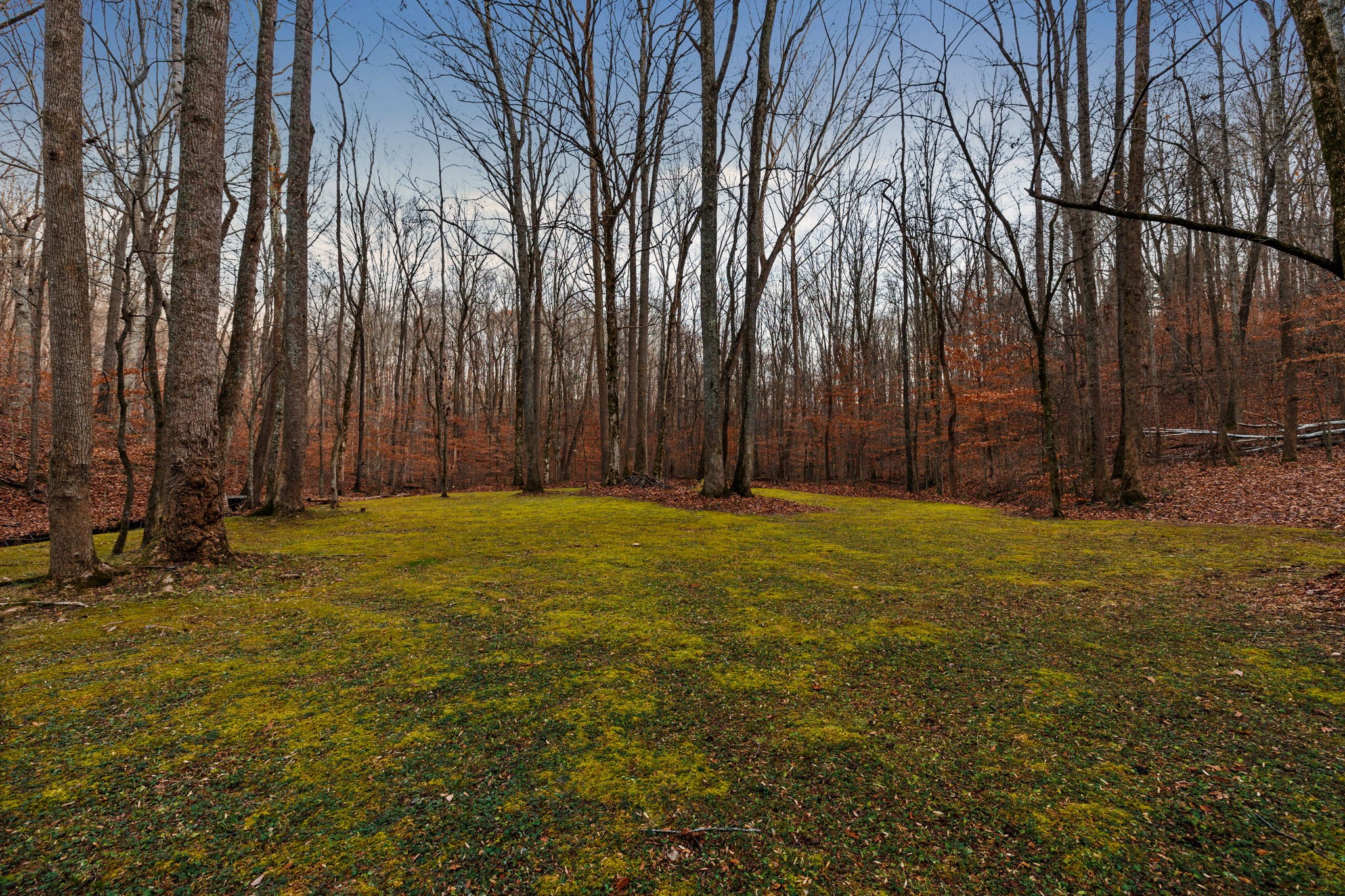 3945 New Highway 96 West Franklin, TN 37064 - Photo 68 of 69 a view of swimming pool with large trees and wooden fence