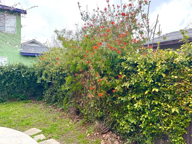 a view of a garden with a house