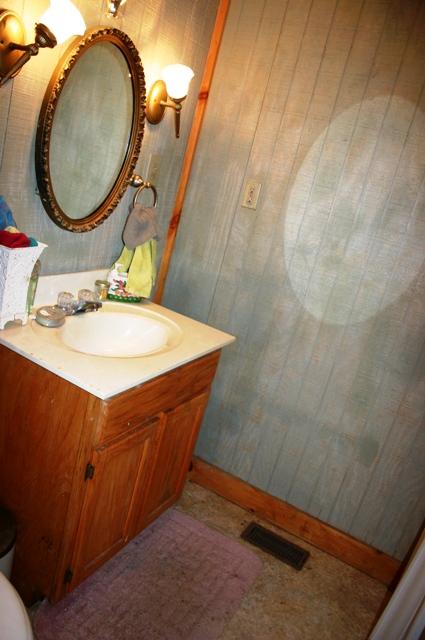 3415 Rocky Ridge Road Cosby, TN 37722 - Photo 17 of 33 main floor bath