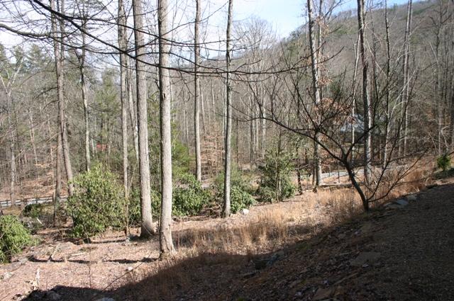 3415 Rocky Ridge Road Cosby, TN 37722 - Photo 29 of 33 side yard