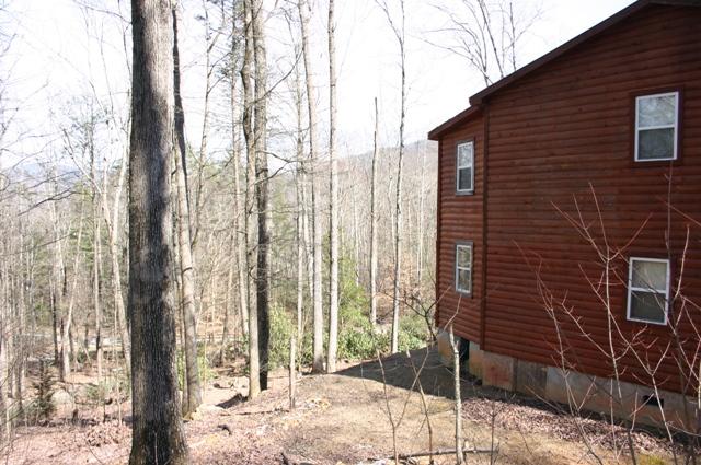 3415 Rocky Ridge Road Cosby, TN 37722 - Photo 30 of 33 back and view