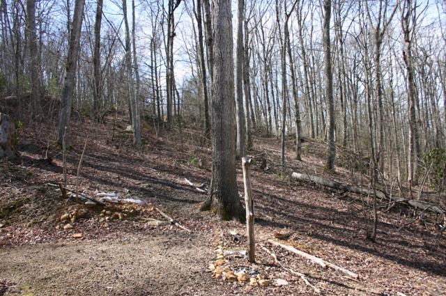 3415 Rocky Ridge Road Cosby, TN 37722 - Photo 31 of 33 back yard