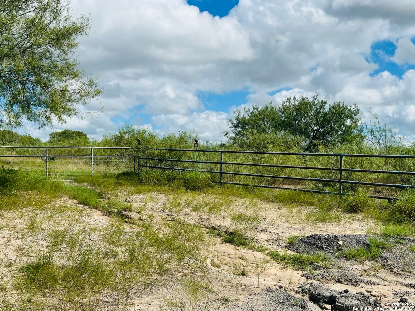 a view of a lake with a big yard