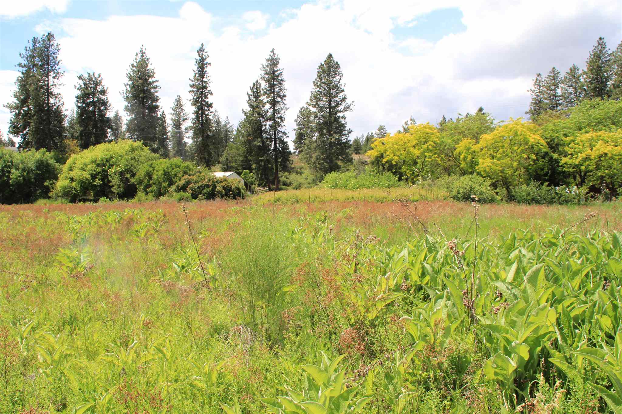 Nhn South Rimrock Drive Unit NORTH OF 808 S RIMROCK  