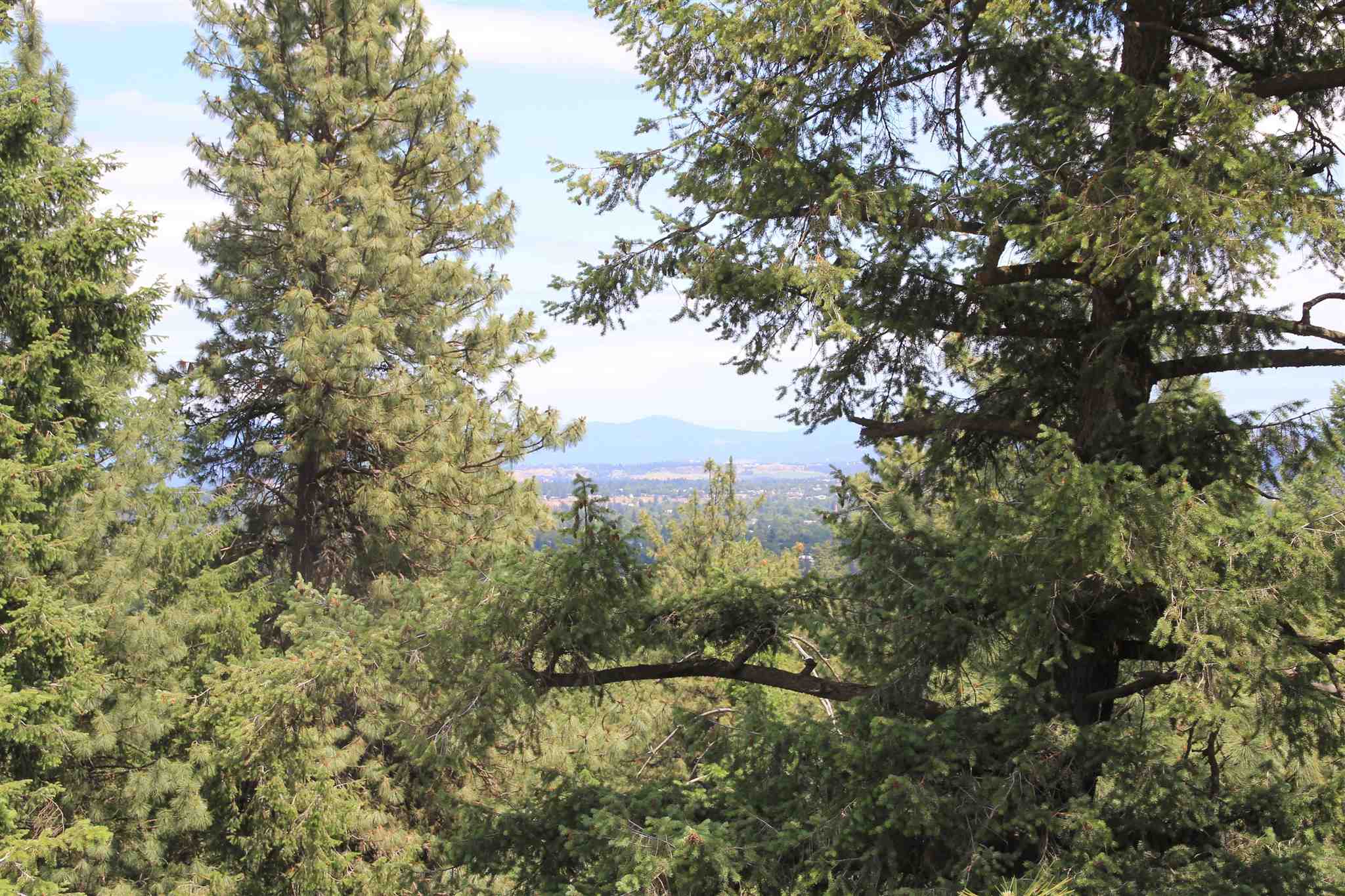 Nhn South Rimrock Drive, Unit NORTH OF 808 S RIMROCK Spokane, WA 99224 - Photo 9 of 18 Gallery Image 9