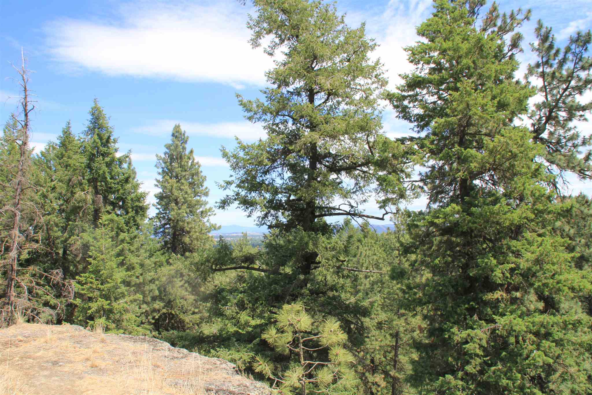 Nhn South Rimrock Drive, Unit NORTH OF 808 S RIMROCK Spokane, WA 99224 - Photo 10 of 18 Gallery Image 10
