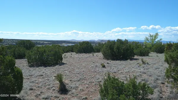 $18,000 | 1 Concho Valley, Concho, AZ 85924