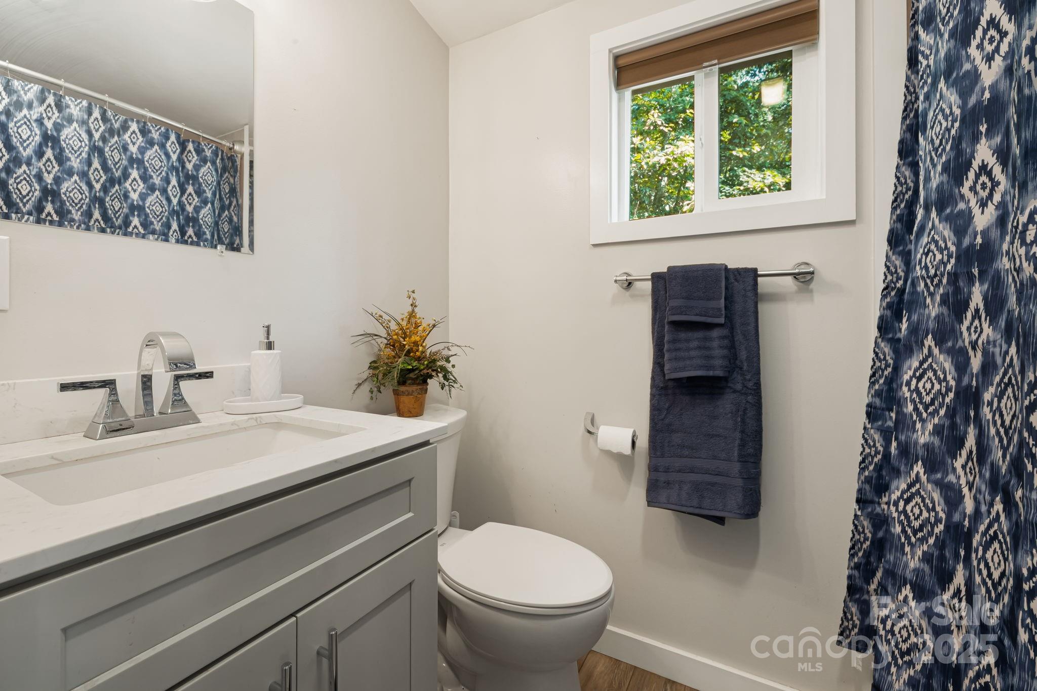 1101 Line Runner Ridge Road Rosman, NC 28772 - Photo 18 of 47 a bathroom with a sink toilet and a window