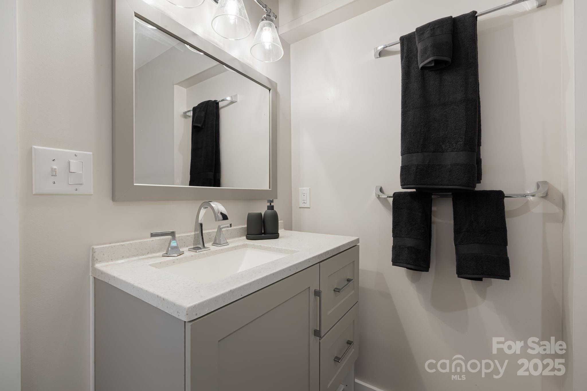 1101 Line Runner Ridge Road Rosman, NC 28772 - Photo 29 of 47 a bathroom with a sink and a mirror