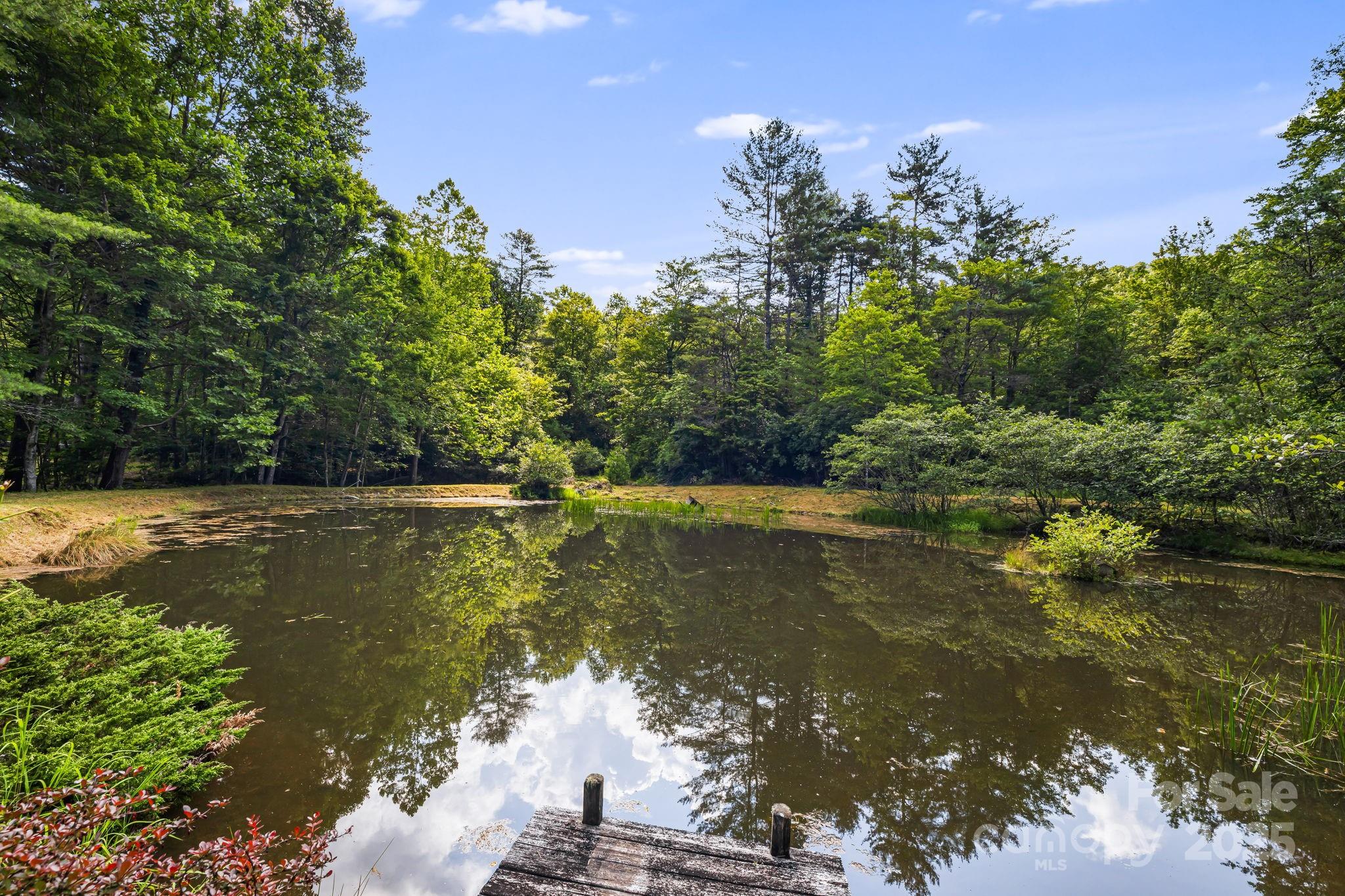 1101 Line Runner Ridge Road Rosman, NC 28772 - Photo 37 of 47 a view of a lake view
