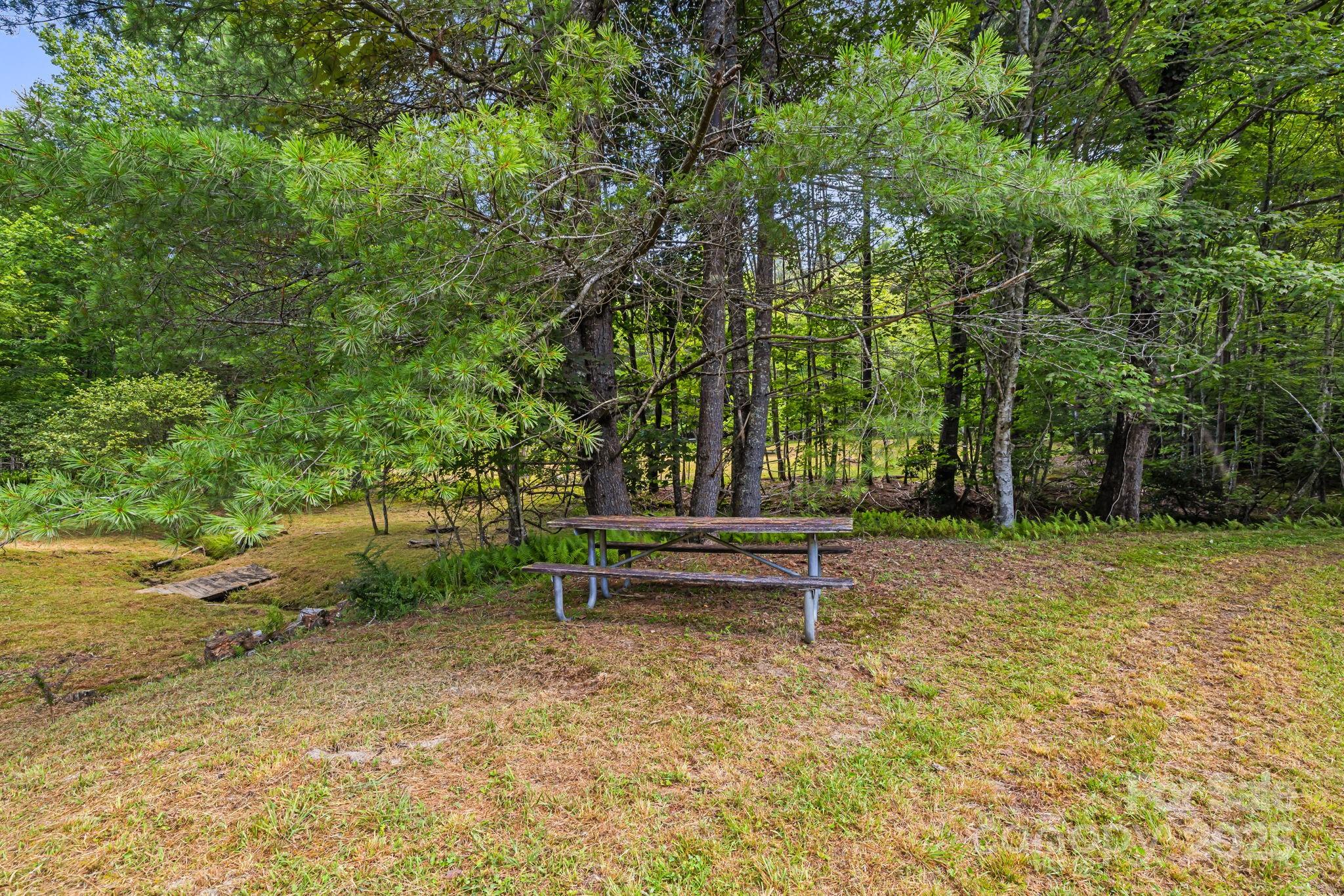 1101 Line Runner Ridge Road Rosman, NC 28772 - Photo 39 of 47 a view of park with bench and trees