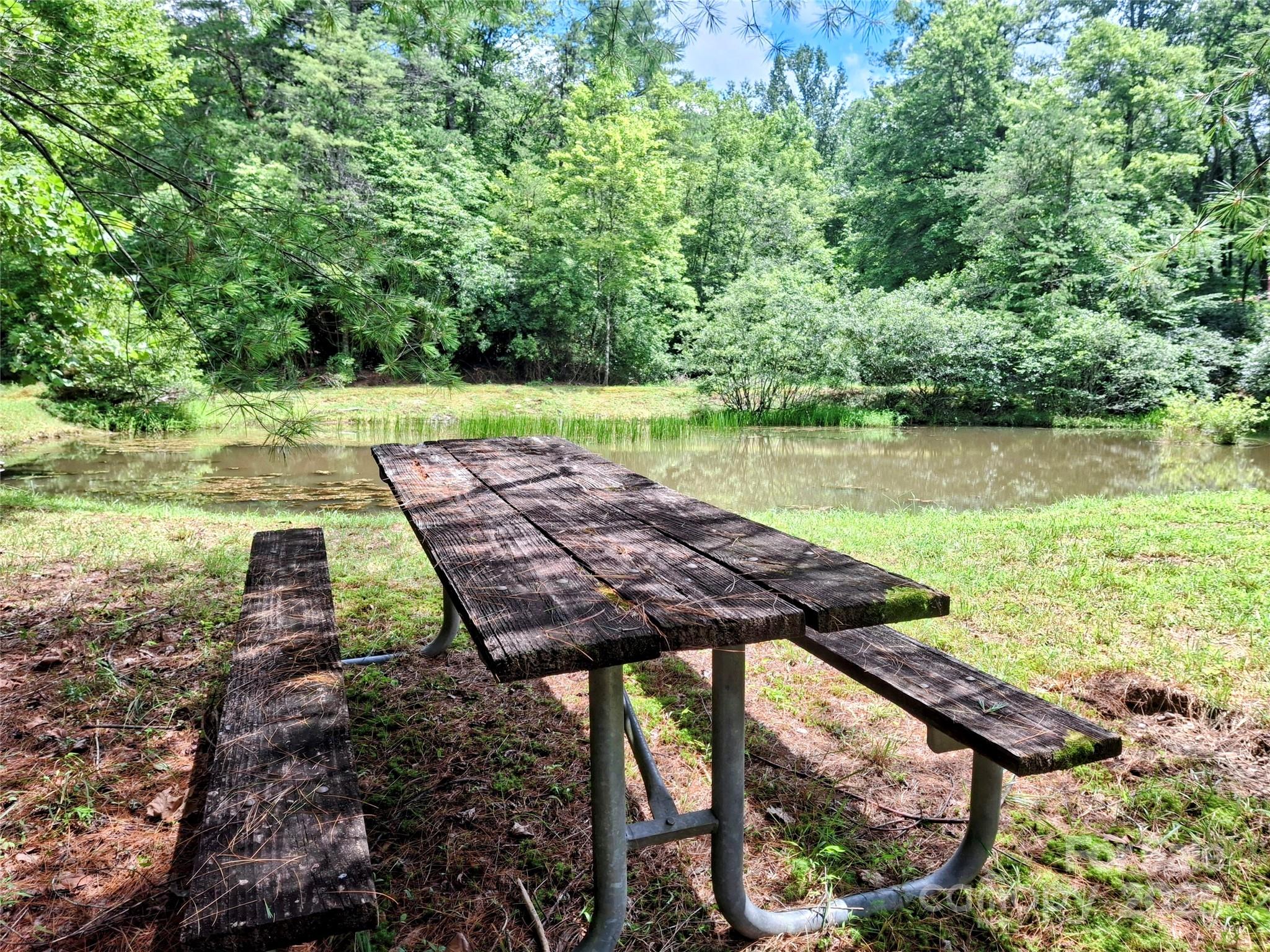 1101 Line Runner Ridge Road Rosman, NC 28772 - Photo 40 of 47 a view of a backyard with wooden floor and lake view