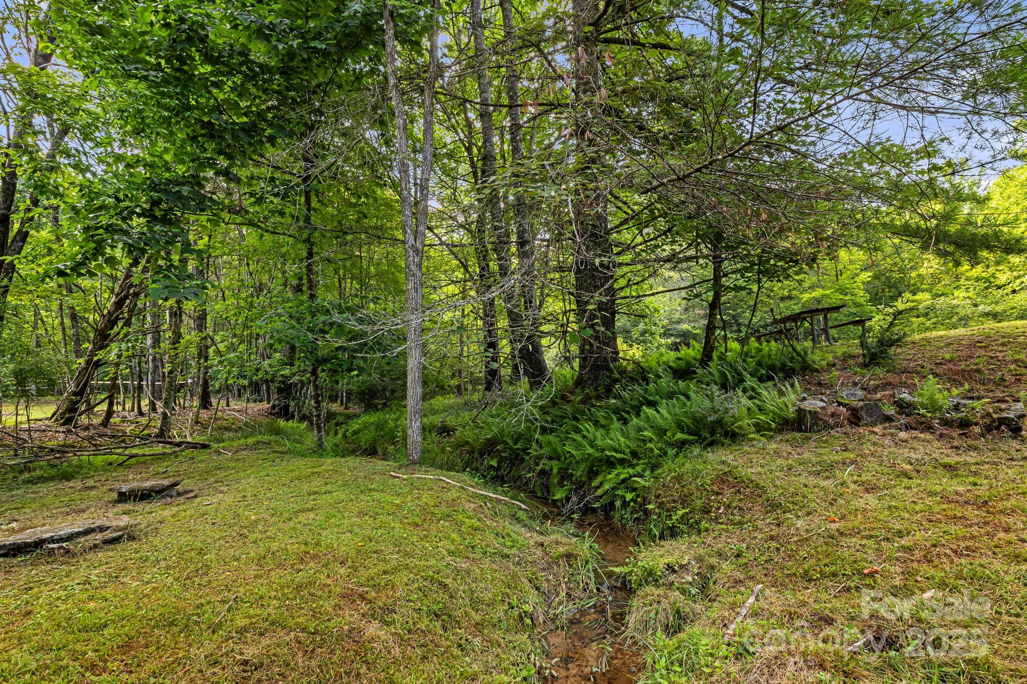 1101 Line Runner Ridge Road Rosman, NC 28772 - Photo 41 of 47 a view of outdoor space and yard