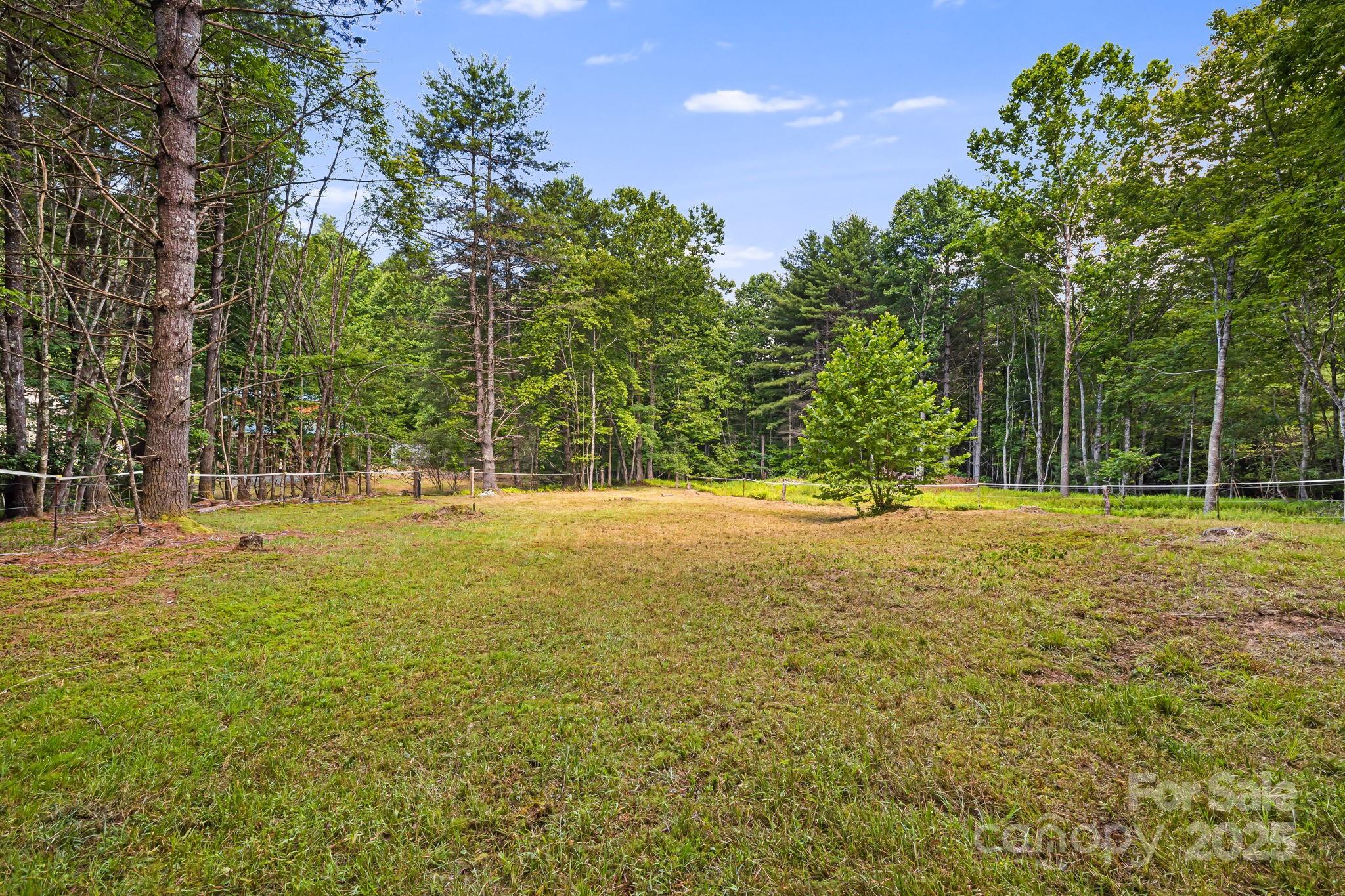 1101 Line Runner Ridge Road Rosman, NC 28772 - Photo 44 of 47 a view of outdoor space with garden
