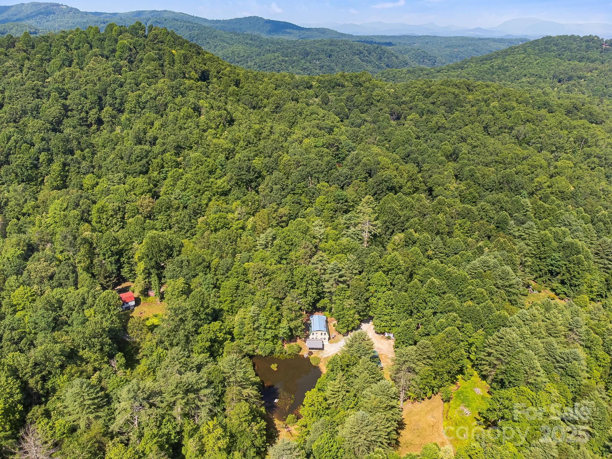 1101 Line Runner Ridge Road Rosman, NC 28772 - Photo 46 of 47 a view of a lush green hillside and houses