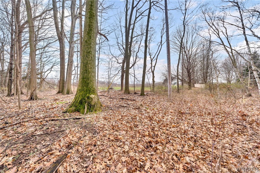 5340 West Lake Road Newfane, NY 14028 - Photo 15 of 42