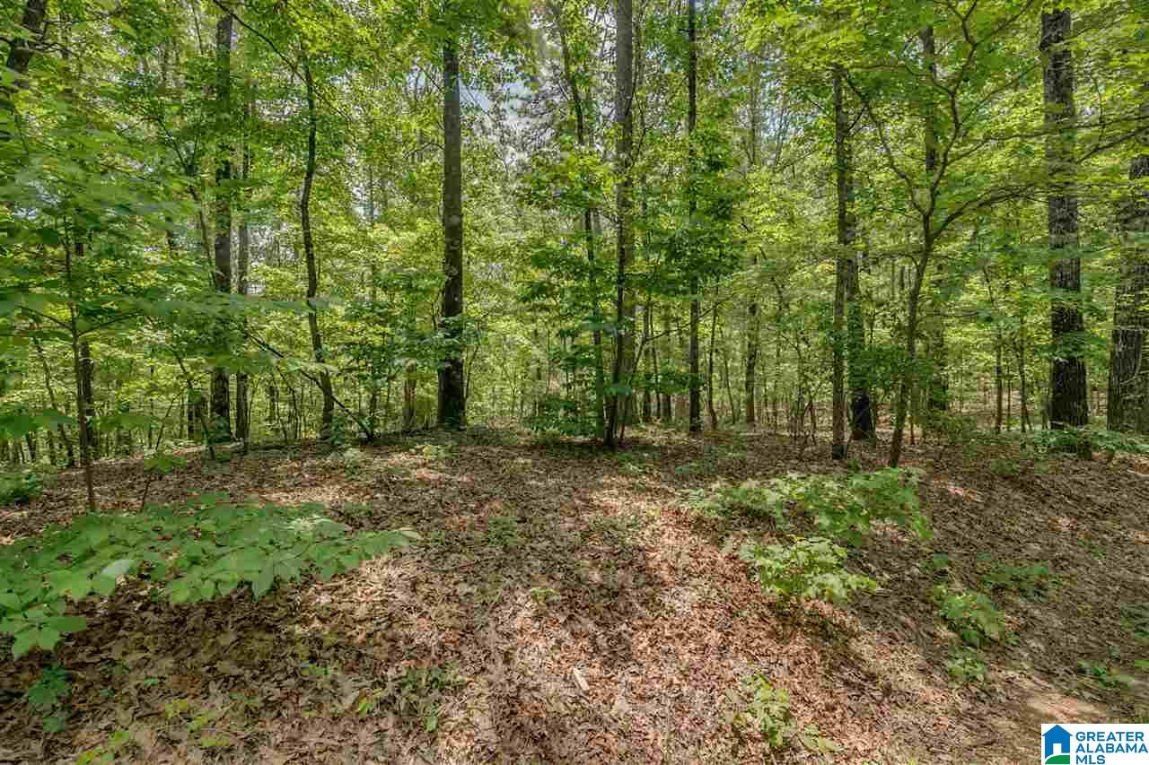 5 Augusta Way, Unit 154 Birmingham, AL 35242 - Photo 4 of 7