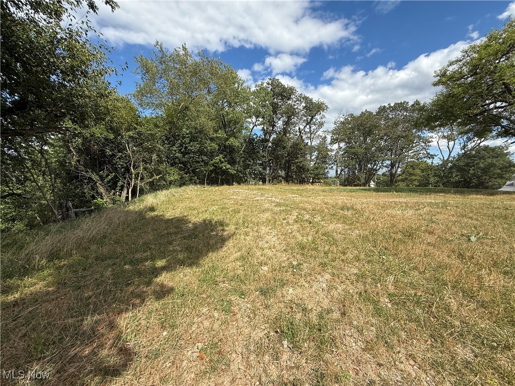408 East High Street Flushing, OH 43977 - Photo 7 of 13 View of yard