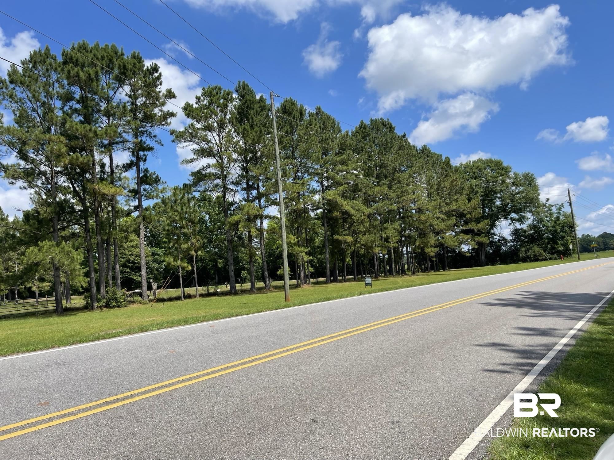 0 North N Highway Century, FL 32535 - Photo 4 of 16