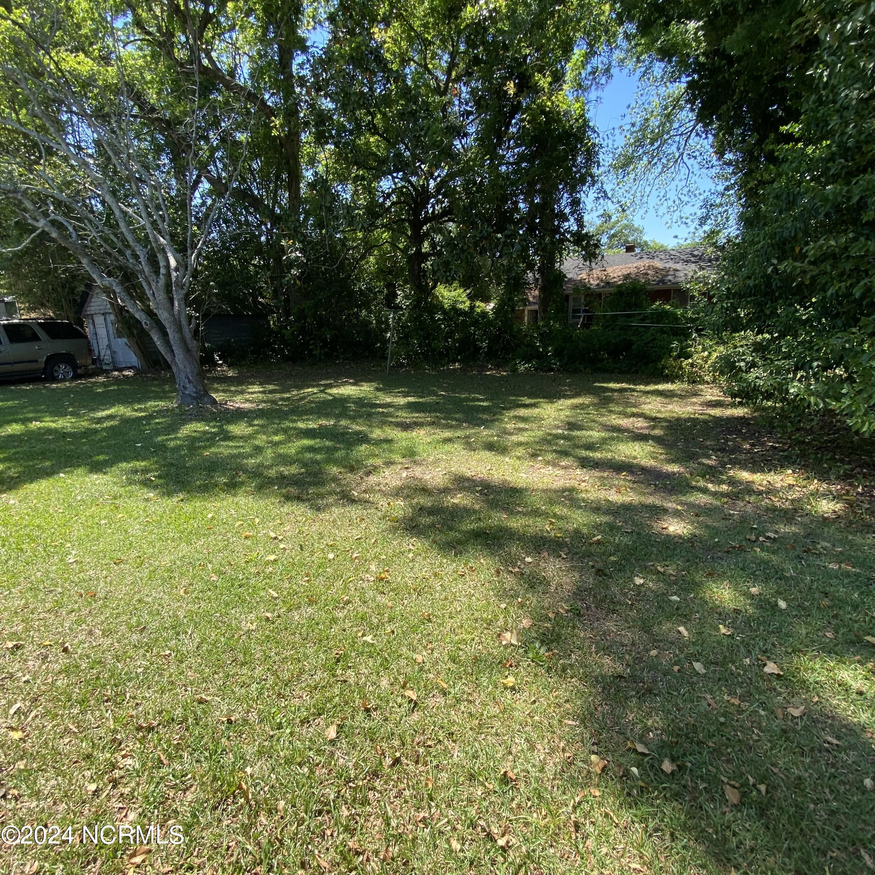 704 Perry Street Kinston, NC 28501 - Photo 24 of 27 IMG_4191