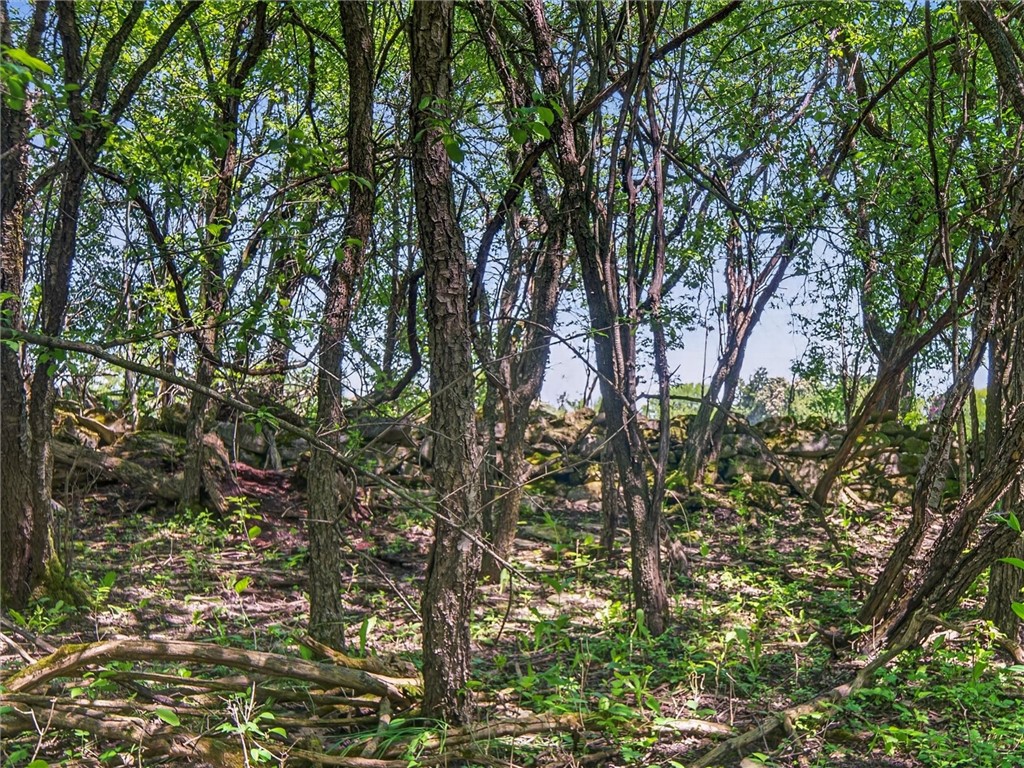 200 Spring Street Caledonia, NY 14423 - Photo 47 of 50