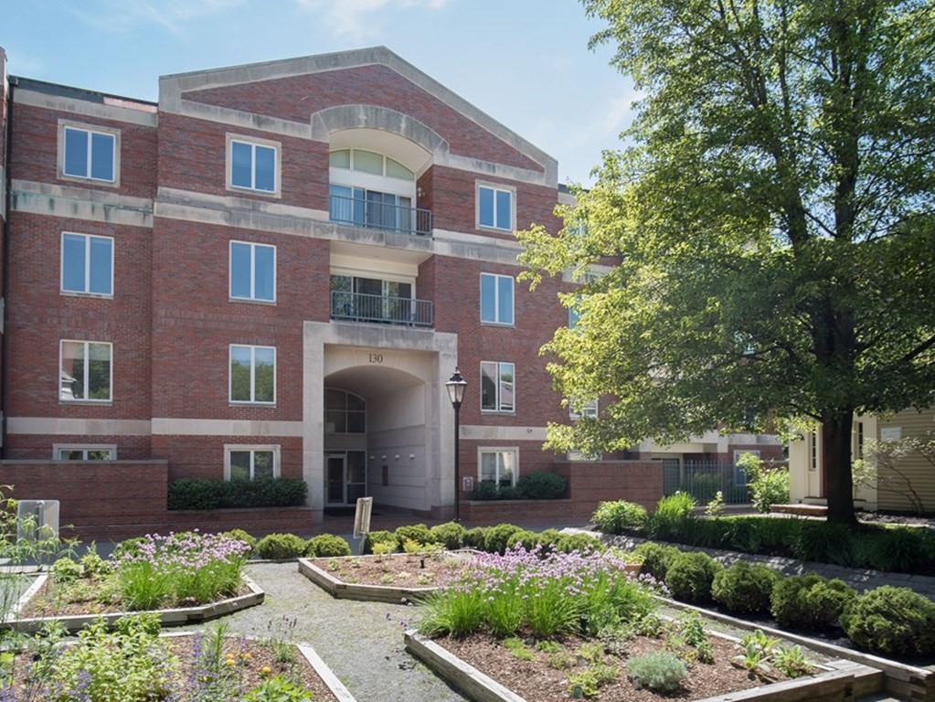 130 Mt Auburn Street, Unit 310 Cambridge, MA 02138 - Photo 1 of 21 a front view of a house with a garden and plants