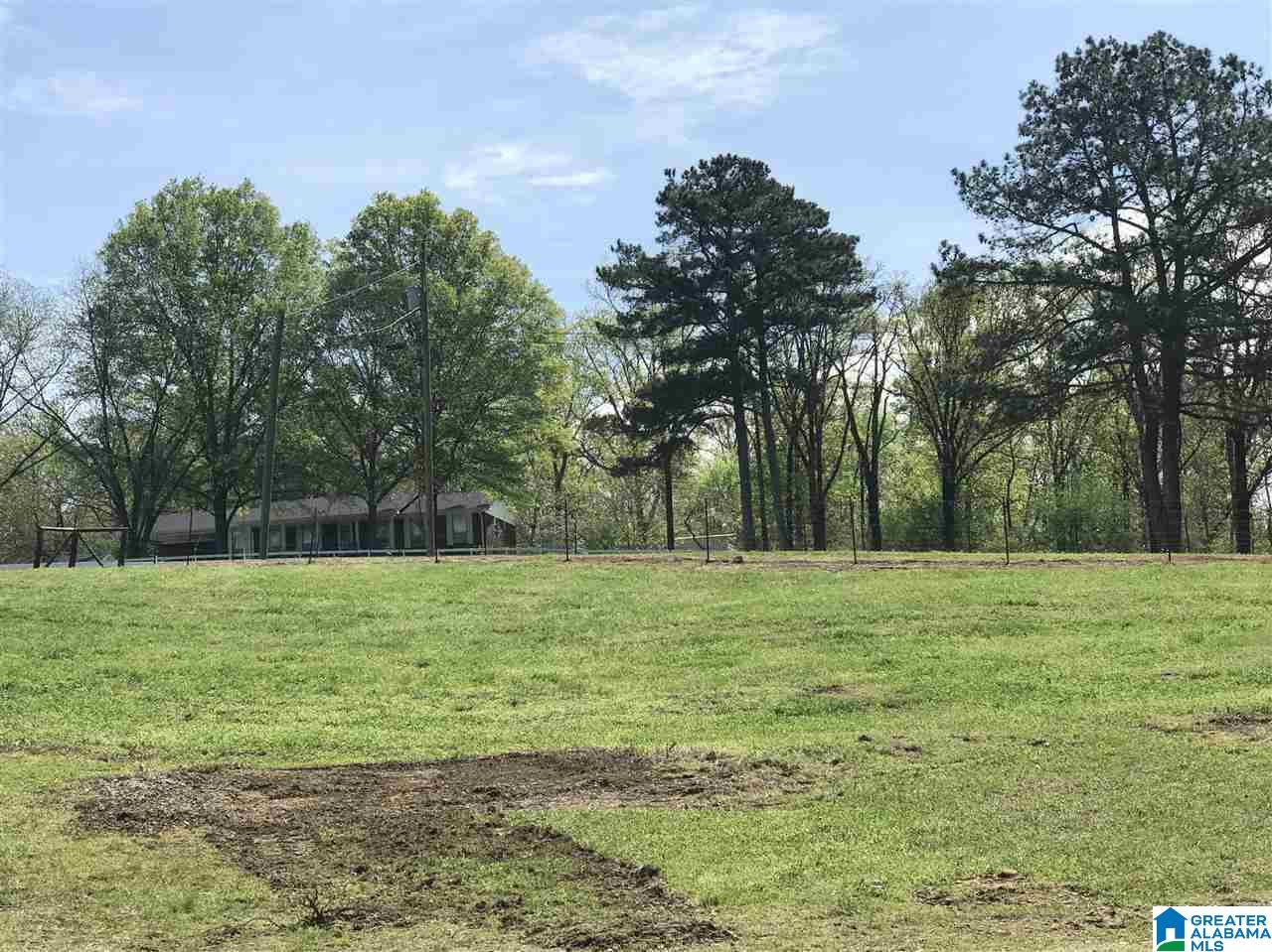1241 Reneau Road Oneonta, AL 35121 - Photo 46 of 50