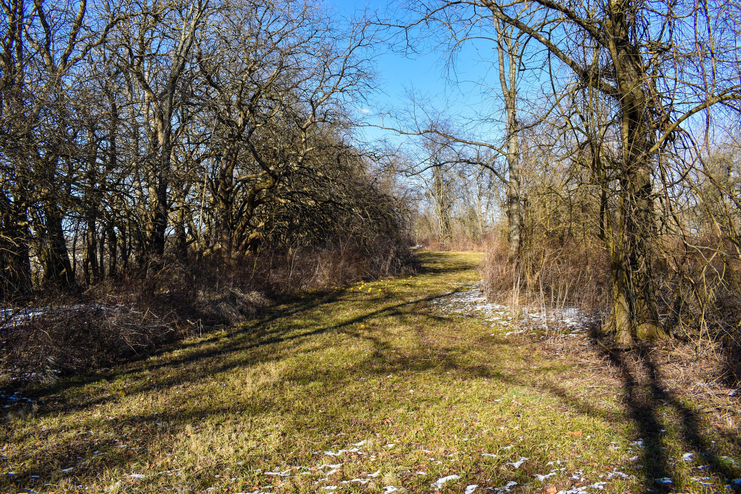 6995 Lock Road Centerburg, OH 43011 - Photo 3 of 9
