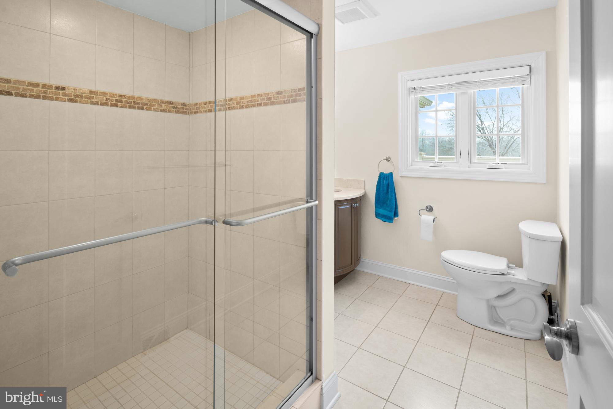 463 Federal City Road Pennington, NJ 08534 - Photo 35 of 47 Shower of (second floor) primary bath.