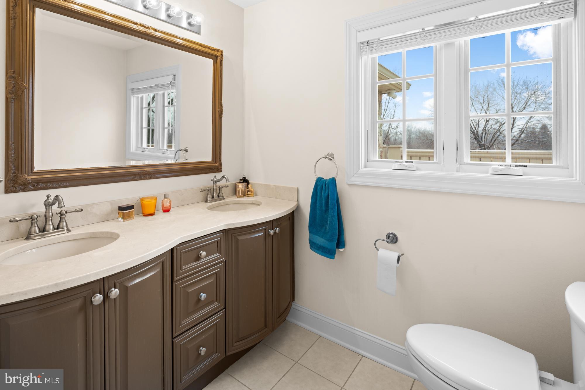 463 Federal City Road Pennington, NJ 08534 - Photo 36 of 47 Dual sinks of (second floor) primary bath.