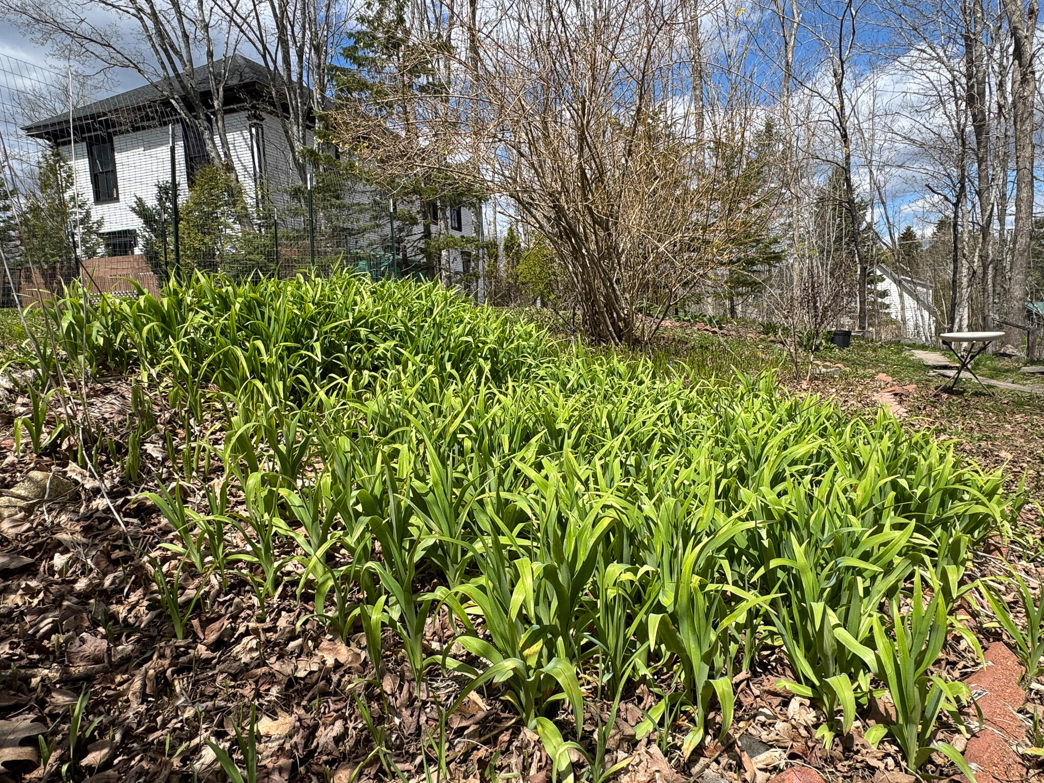 8 Leighton Point Road Pembroke, ME 04666 - Photo 4 of 31