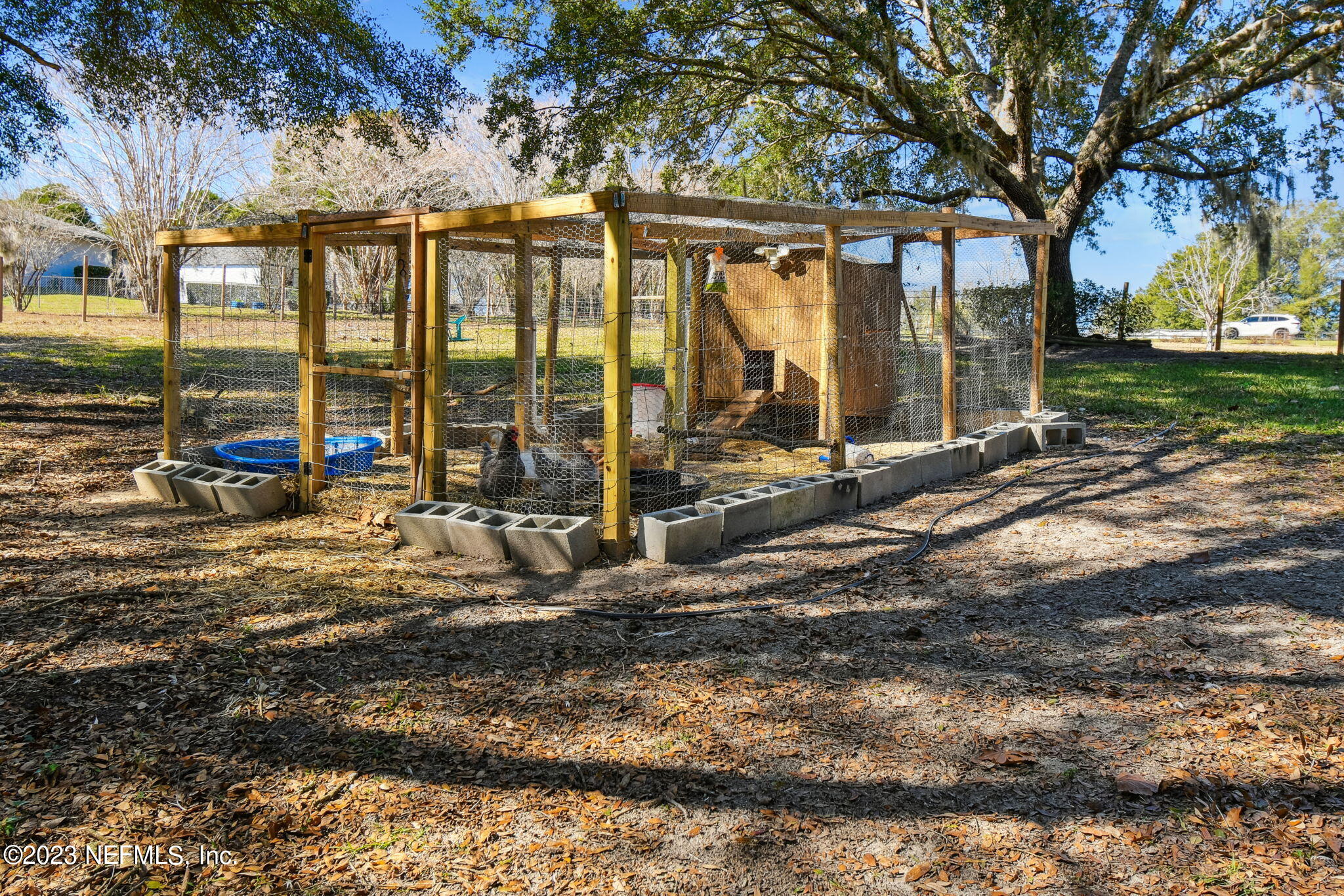 141 Ashley Lake Drive Melrose, FL 32666 - Photo 22 of 27 73-DSC_3075