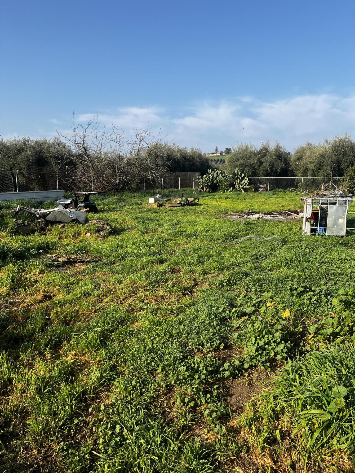 24101 Rd 224, Unit 224A Lindsay, CA 93247 - Photo 46 of 48 IMG_1138