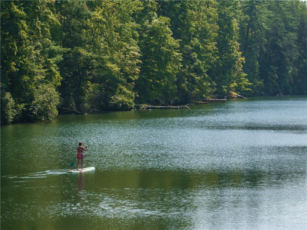 555 Chattooga Lake Road Mountain Rest, SC 29664 - Photo 29 of 45 Great for paddleboarding.