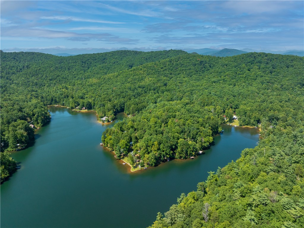 555 Chattooga Lake Road Mountain Rest, SC 29664 - Photo 42 of 45 Lake Chattooga