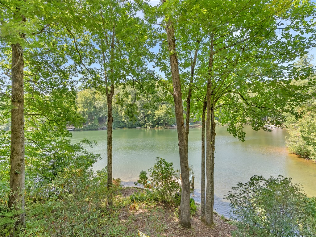 555 Chattooga Lake Road Mountain Rest, SC 29664 - Photo 45 of 45 view from patio