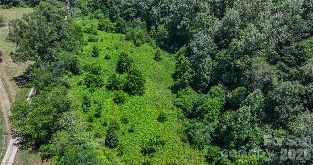1111 Rocky Top Acres Road Ferguson, NC 28624 - Photo 9 of 13