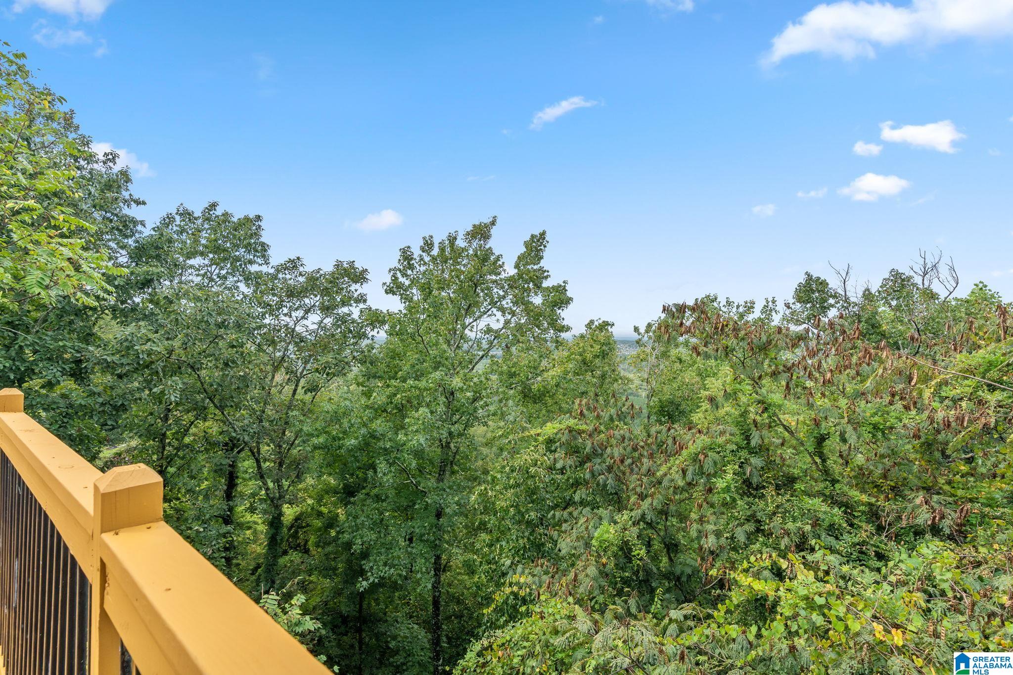 468 Shades Crest Road Bessemer, AL 35022 - Photo 51 of 64