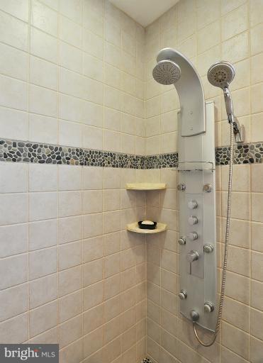 30 East Braddock Road Alexandria, VA 22301 - Photo 17 of 30 Bath (Master)