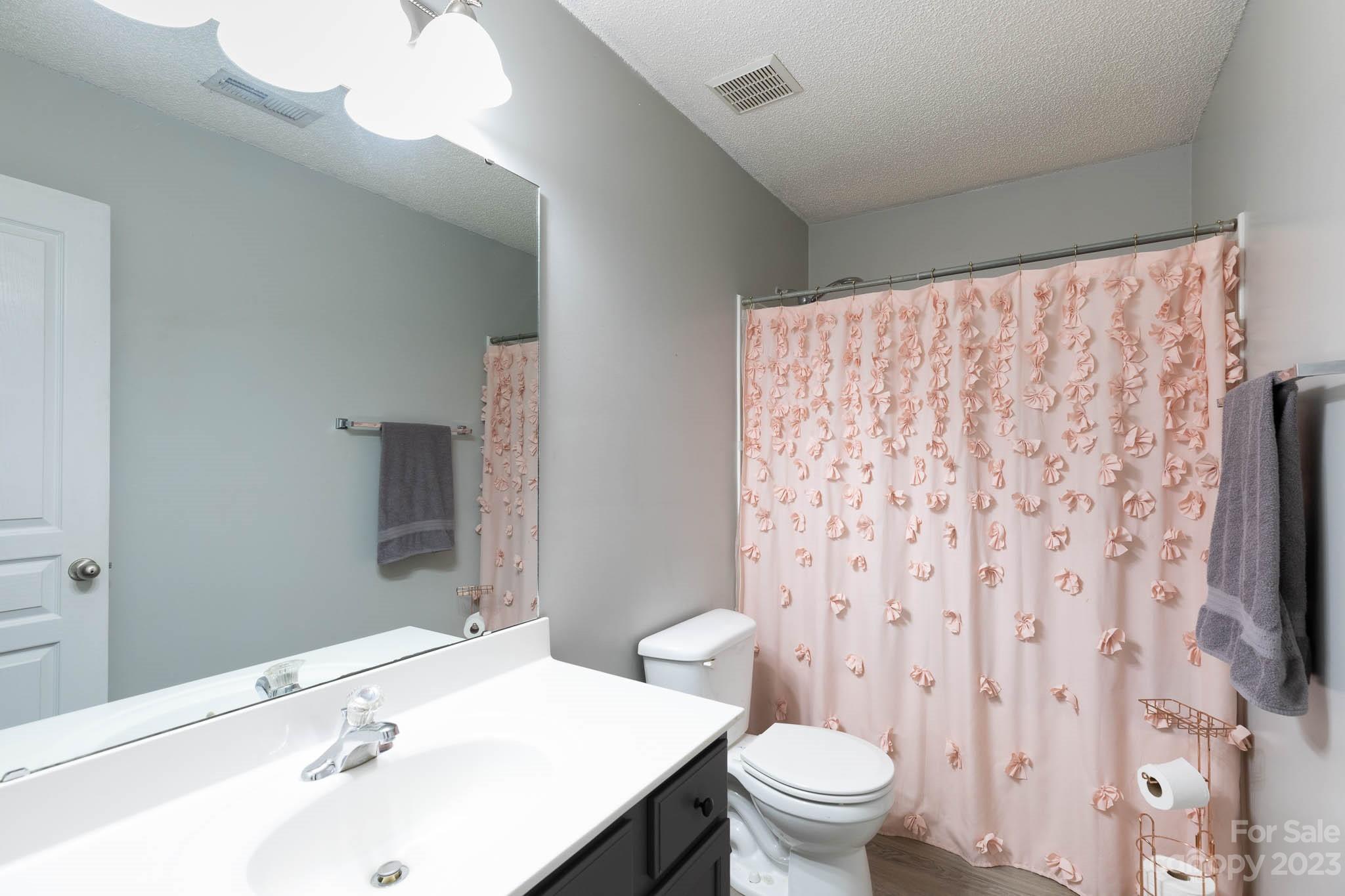 1503 George Dunn Road Rock Hill, SC 29730 - Photo 15 of 21 a bathroom with a sink and a mirror