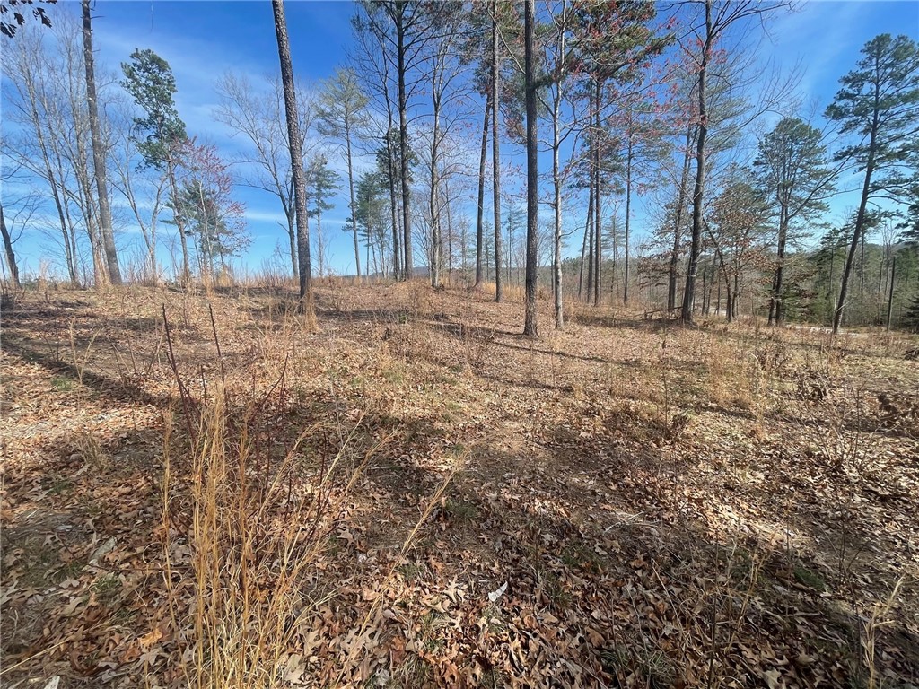 Np5 Old Chapman Bridge Road Salem, SC 29676 - Photo 6 of 10 Gallery Image 6