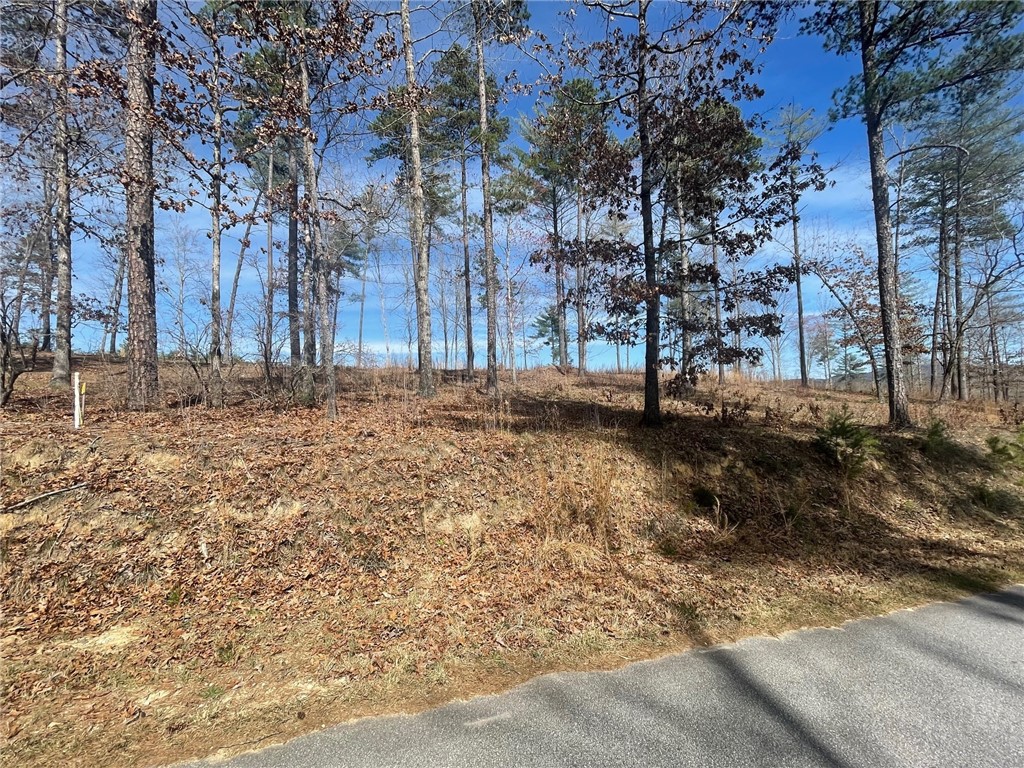 Np5 Old Chapman Bridge Road Salem, SC 29676 - Photo 8 of 10 Gallery Image 8