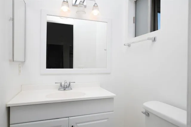 a close up of a flower in a garden