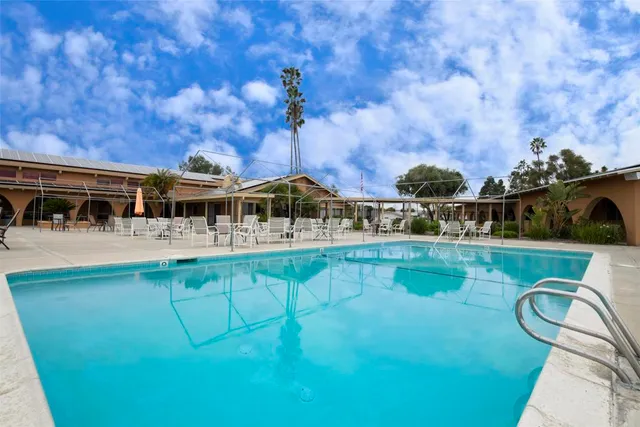 a view of a garden with plants and a bench