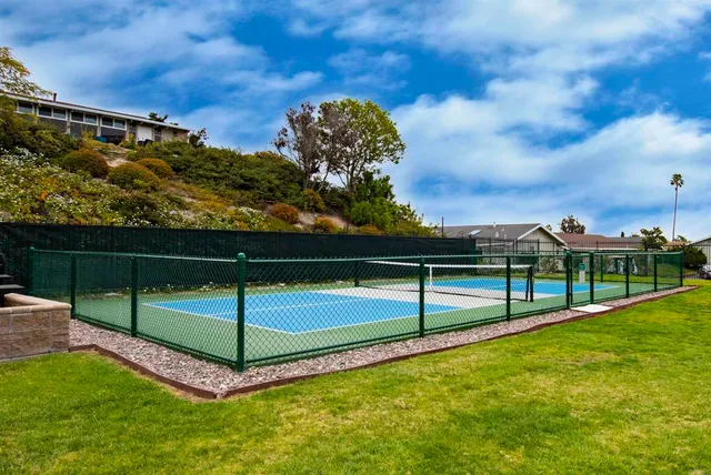 a view of a garden with plants and large trees