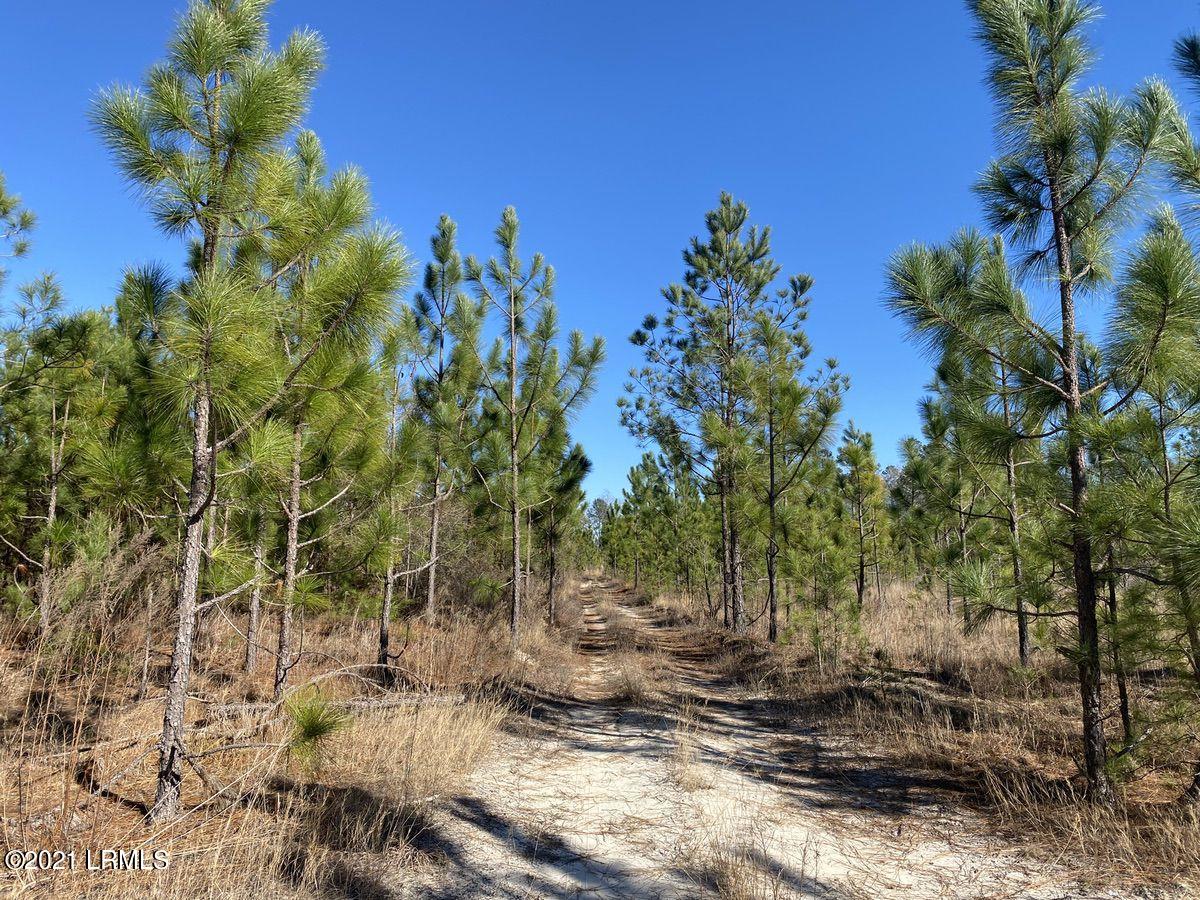 1700 Lebanon Road Barnwell, SC 29812 - Photo 11 of 50 11