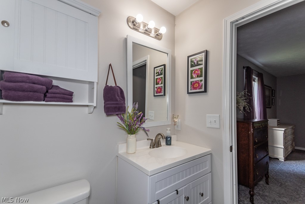 12422 Painesville Warren Road Painesville, OH 44077 - Photo 14 of 35 Bath off the owner's suite.