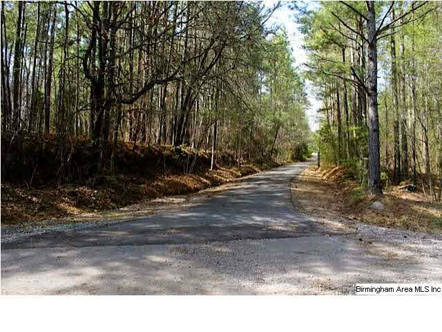 335 Cove Shocco Road Talladega, AL 35160 - Photo 5 of 24